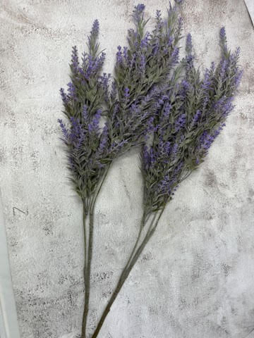 Lavender Stems