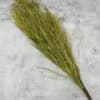 33” Corn Husk Branch