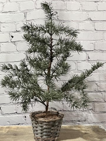 Ragon House Tufted Pine Tree in Basket, 23.5