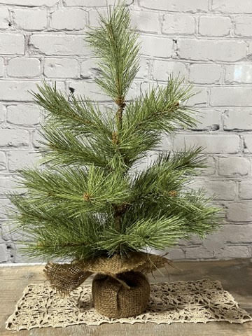 18” Frosted Long Needle Pine Tree