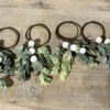 Ombre Boxwood & Berry Napkin Rings, Set/4
