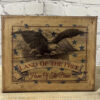 8” x 10” Land of the Free Eagle Canvas