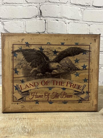 8” x 10” Land of the Free Eagle Canvas