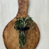 Small Breadboard Flower Vase Kit