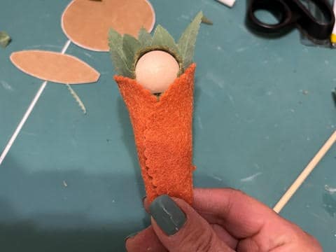 Baby Carrot Blog Pics