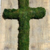 Moss Cross