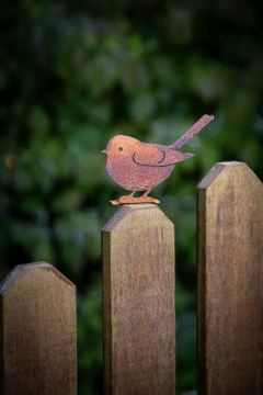 Baby Fat Chickadee