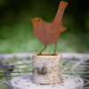 Rusty Baby Robin