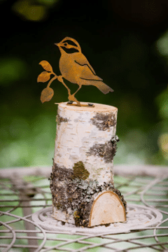 Rusty Black-Capped Chickadee