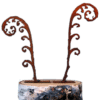 Rusty Metal Fern Fronds - Tab Mount, Set/2