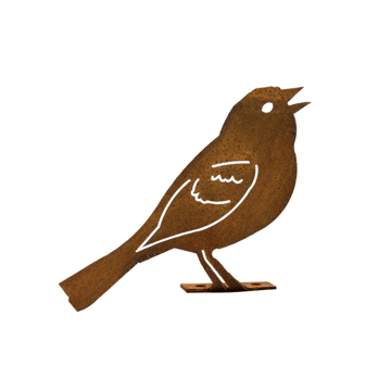Rusty Vesper Sparrow