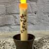 7” Multi Monarch Butterfly Timer Taper