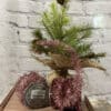 72” Pink Tinsel Garland, Set/2
