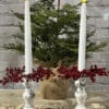 Red Berry Candle Ring, Set/2