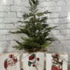 Vintage Christmas Icon Block Sitters, Set/3