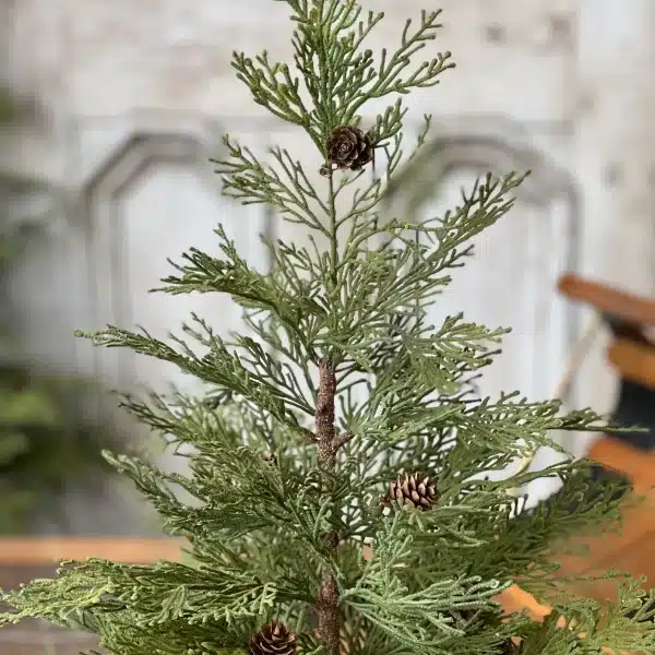Alternative view of 24” North Rim Hemlock Tree