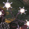White Snowflake Pop-On, Set/20