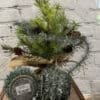 72” Ragon House Green Tinsel Garland, Set/2