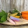 11” Flocked Cluster of 6 Carrots- Orange or Colored