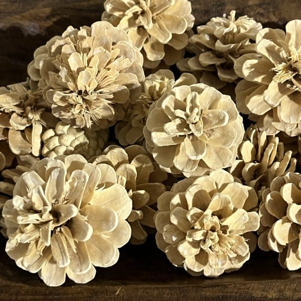 Alternative view of Vickerman Bleached Blue Pine, 20 Pcs