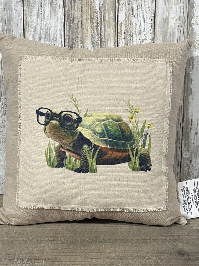 12" Frog & Turtle Pillow Set - Image 3