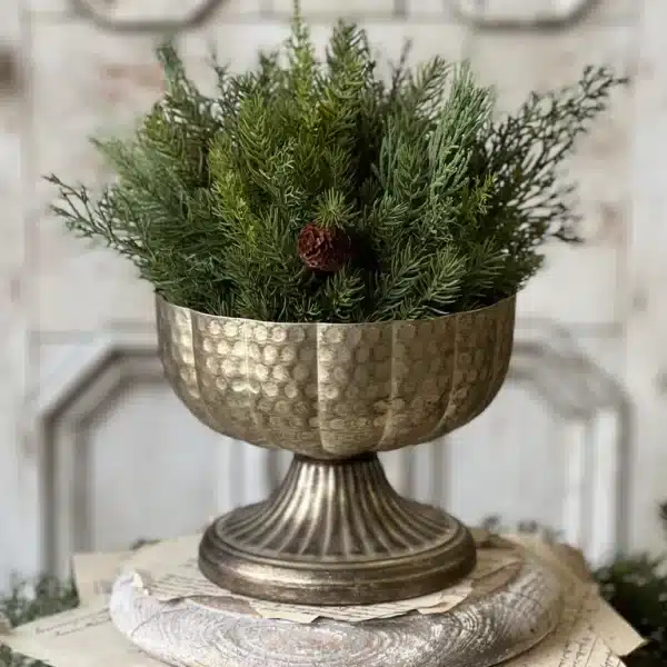 Alternative view of Lamine Compote | 6"