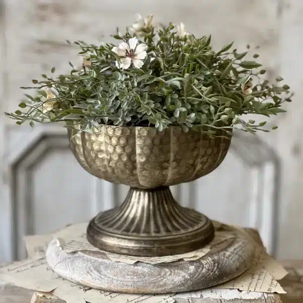 Lamine Compote | 6"