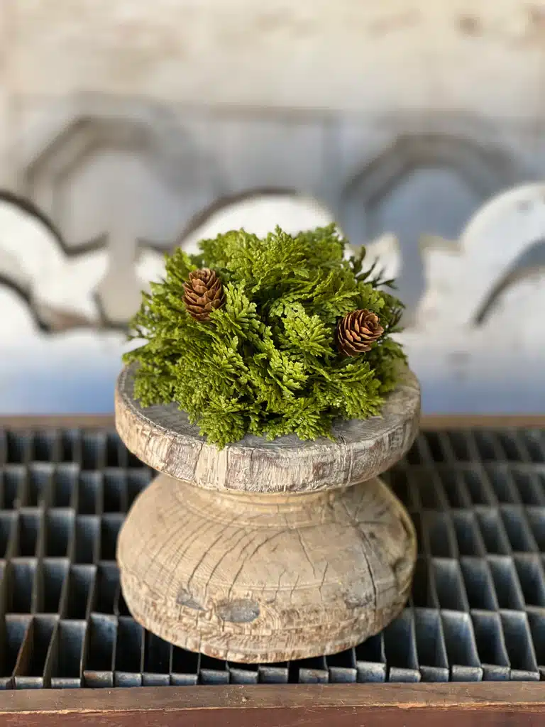 Leyland Cypress Half Sphere | 5.5" Set of 2 - Image 2