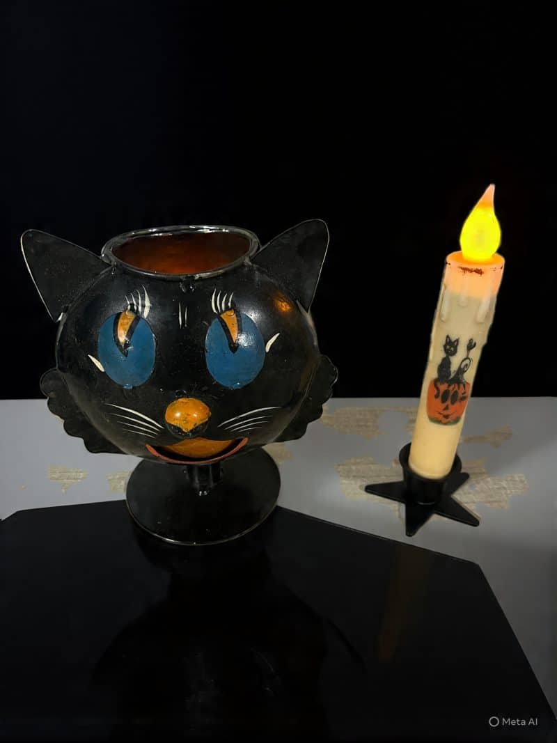 Black Cat Halloween Voyive Holder Special Value Decor Set