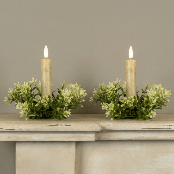 New England Boxwood And Berries Taper Candle Ring / Set of 2