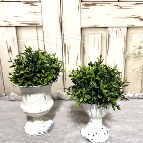 5.5" Green Lemon Half Shpere/ Set of 2