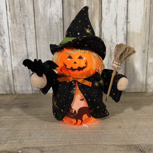 Halloween Fun Pre Lit Timer Glass Witch With Bat